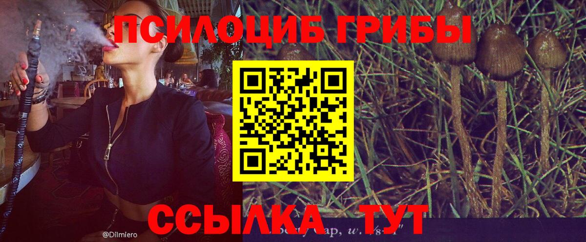 Канабис  Нефтекумск  Мефедрон   Вход с VPN  Меф МЯУ МЯУ  Гашиш 