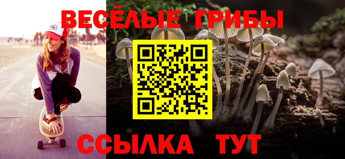 Нефтекумск  Галлюциногенные грибы Psilocybe  Галлюциногенные грибы Psilocybe  Вход с VPN 