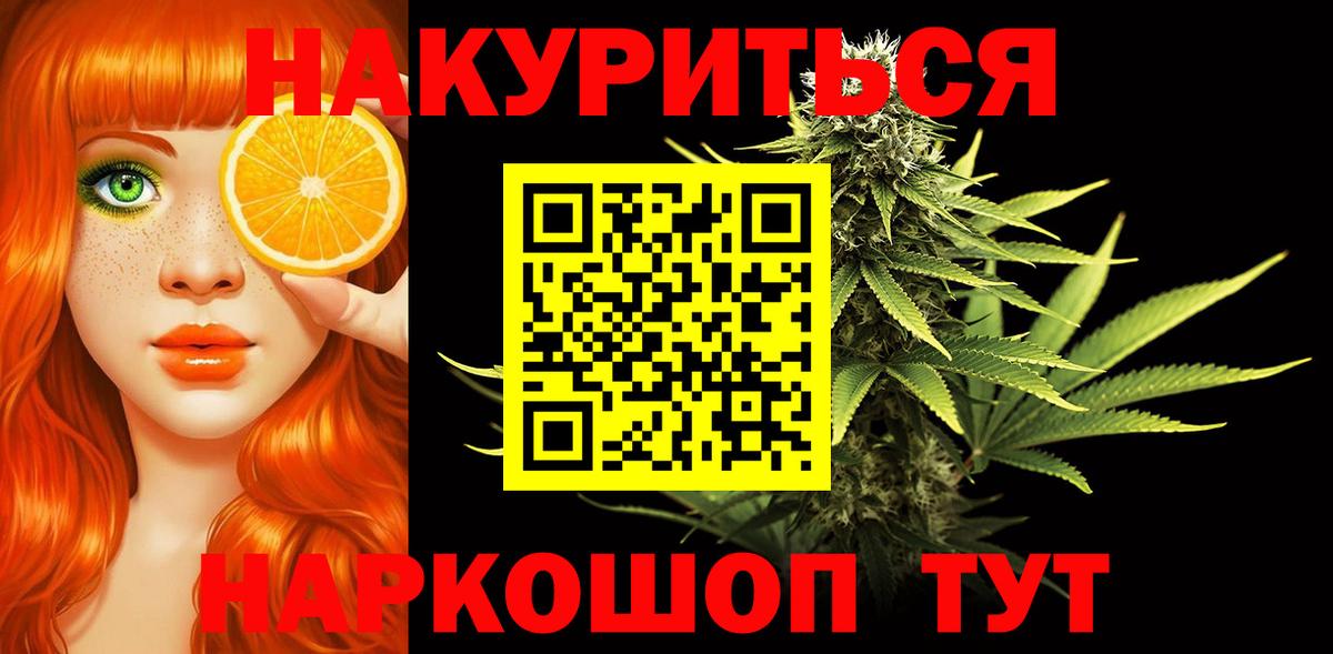 Каннабис планчик  Вход с VPN  Нефтекумск  Марихуана индика 